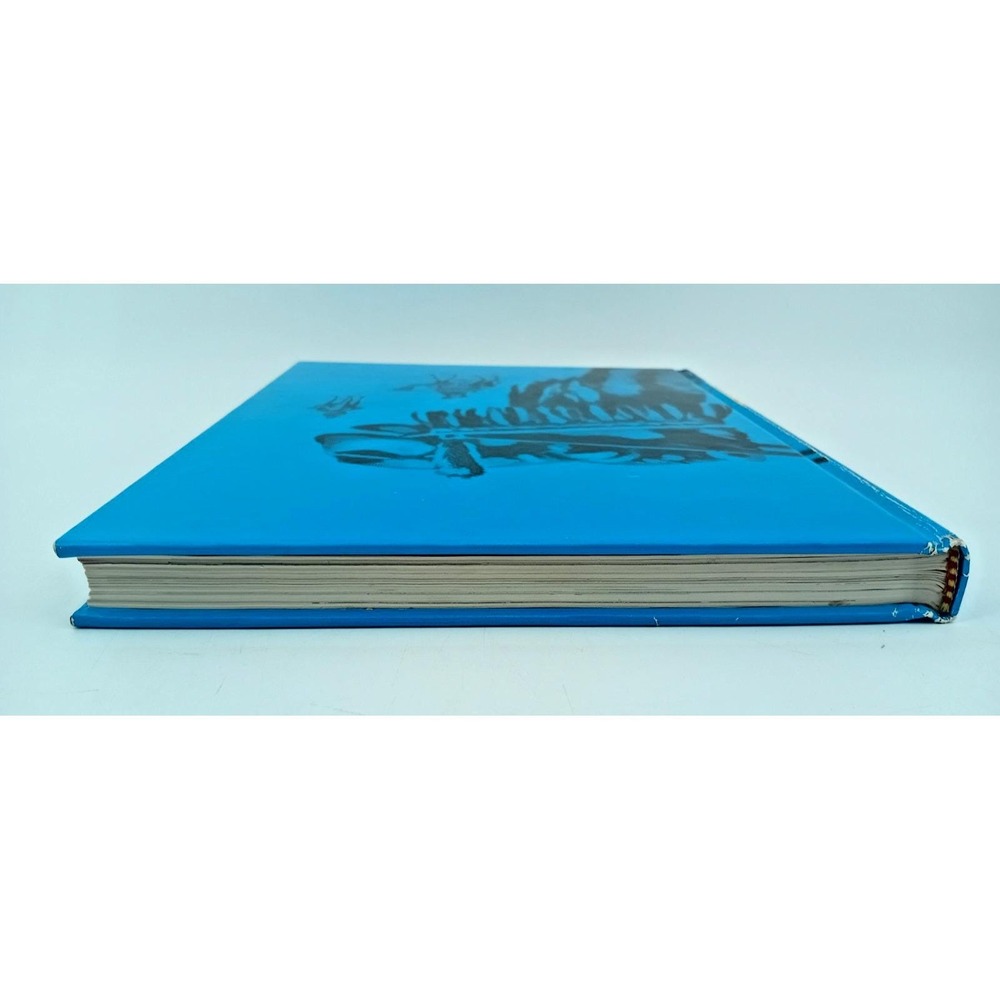 The Book of Life Vol. 1 –‎ God's Pioneers: Journeys for Jesus – Zondervan VG - Picture 5 of 9